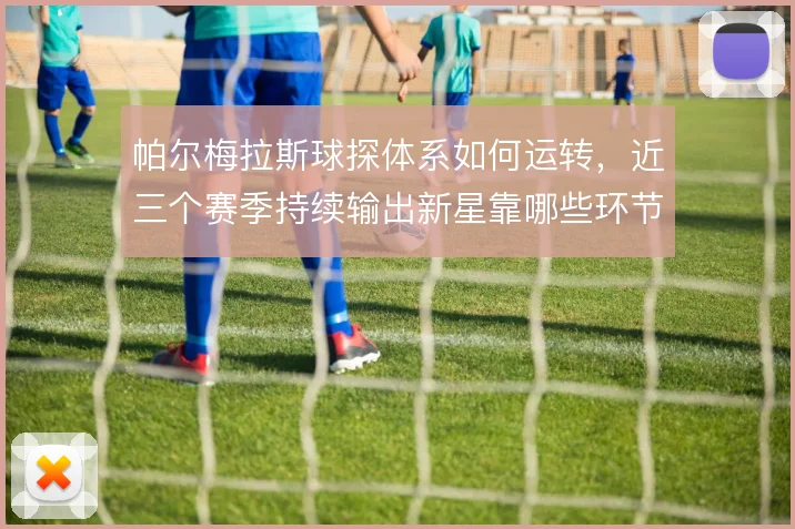 帕尔梅拉斯球探体系如何运转，近三个赛季持续输出新星靠哪些环节支撑