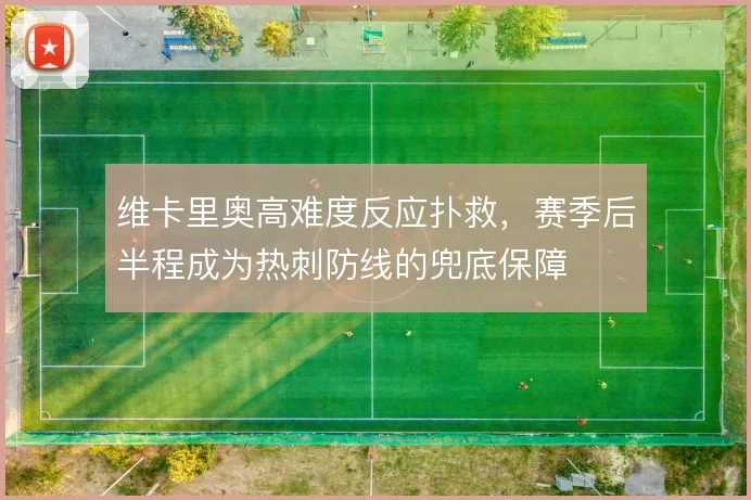 维卡里奥高难度反应扑救，赛季后半程成为热刺防线的兜底保障