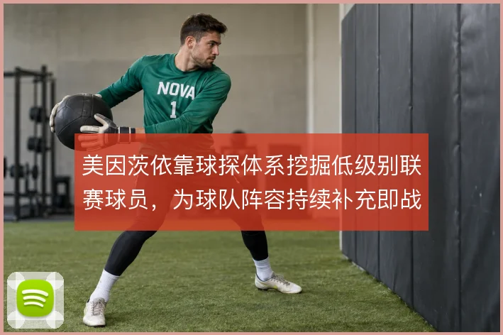 美因茨依靠球探体系挖掘低级别联赛球员，为球队阵容持续补充即战力