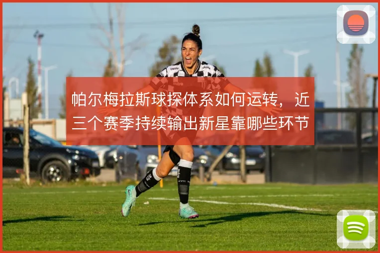 帕尔梅拉斯球探体系如何运转，近三个赛季持续输出新星靠哪些环节支撑